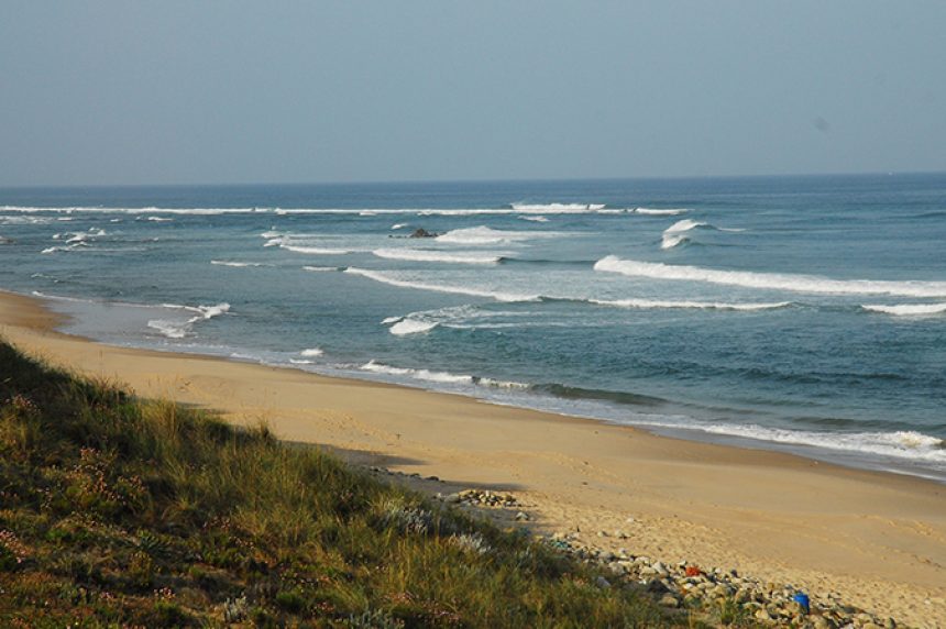 View of Aivados Beach with gentle waves and white foam washing onto the sandy shore, grass in the foreground, and a clear blue sky overhead.